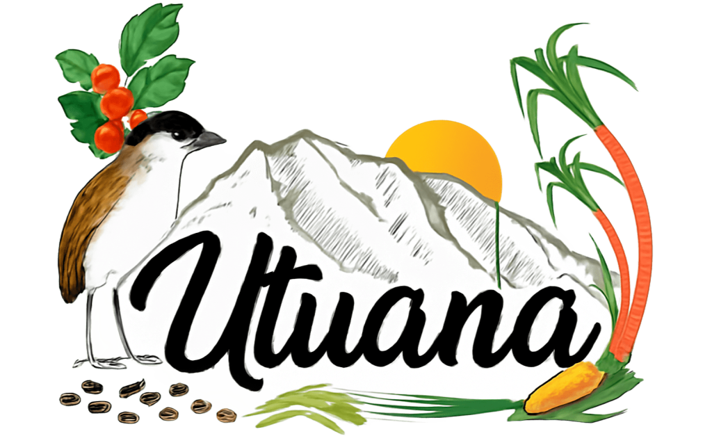 cropped cropped logosinfondo 1.png